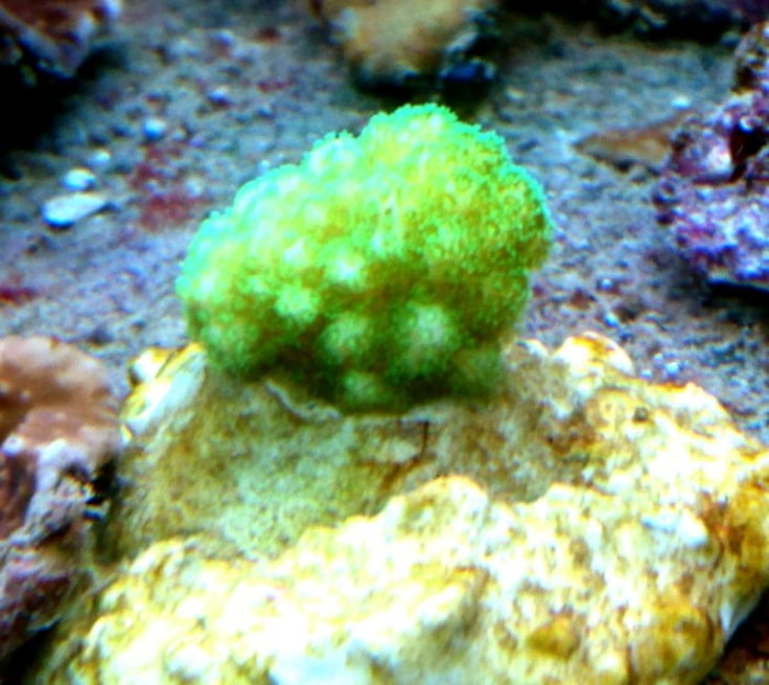 DSC_1300.JPG