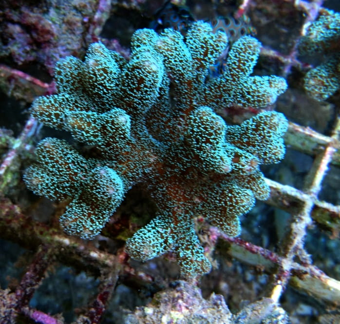 DSC_1301.JPG