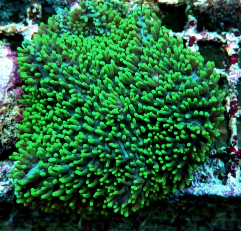 DSC_1409.JPG