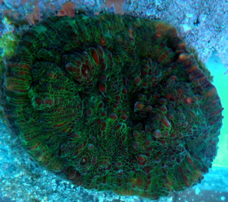 DSC_1577.JPG