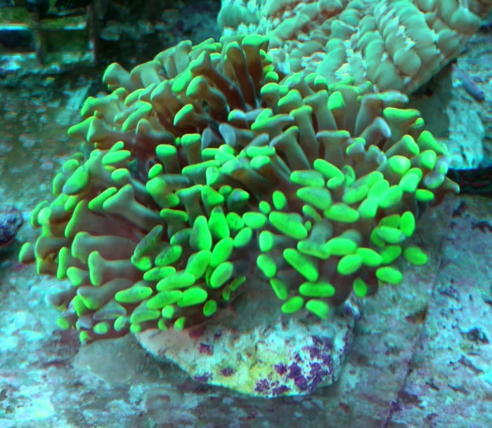 DSC_1696.JPG