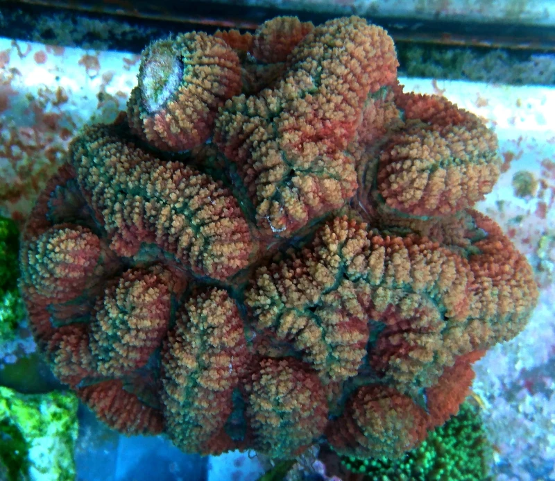 DSC_1697.JPG