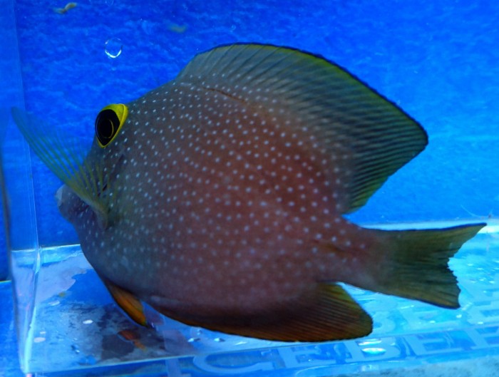 DSC_1964.JPG