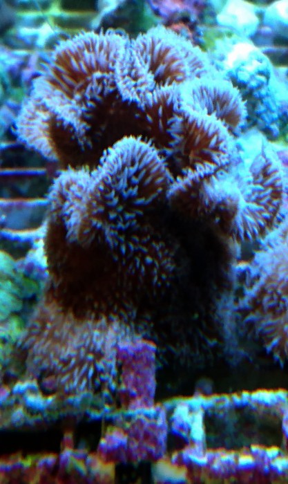 DSC_1940.JPG