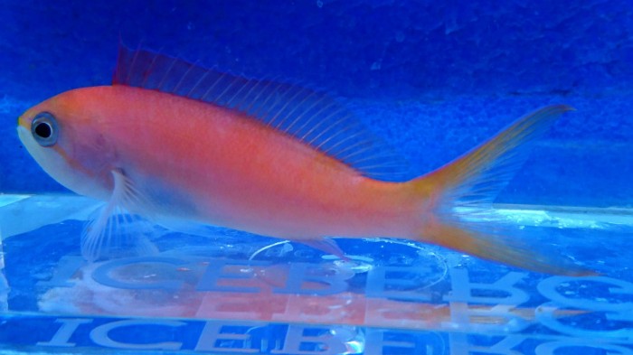 DSC_2013.JPG