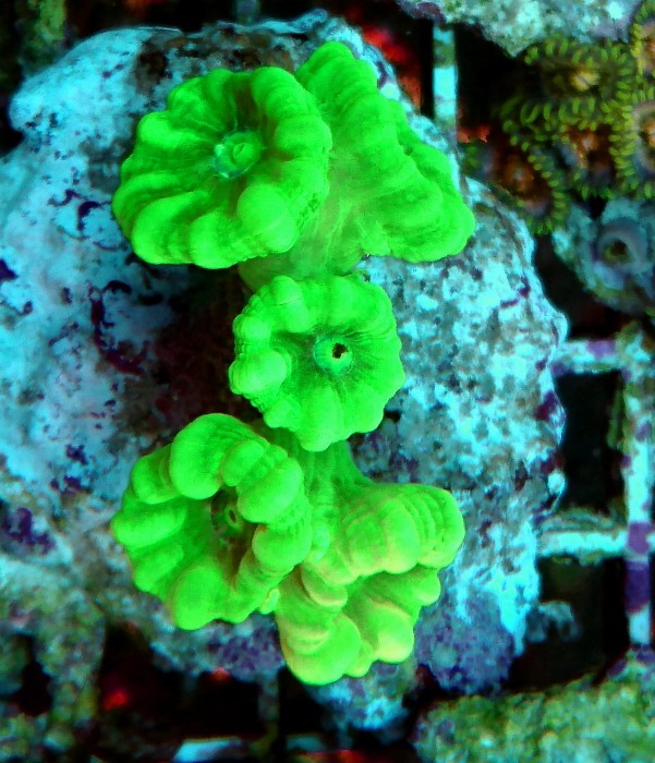 DSC_1898.JPG