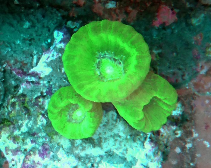 DSC_1897.JPG