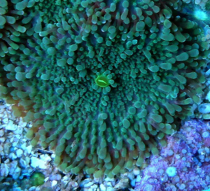 DSC_2113.JPG