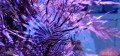 DSC_1064.JPG