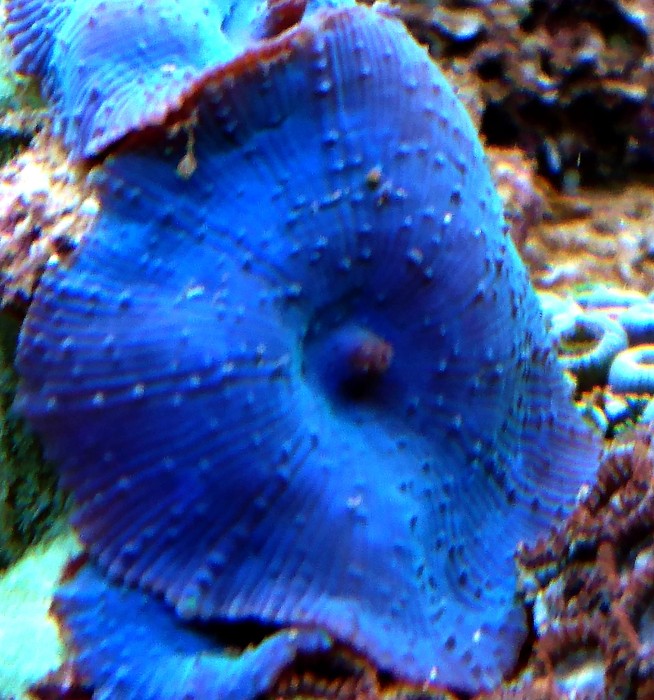 DSC_0131.JPG