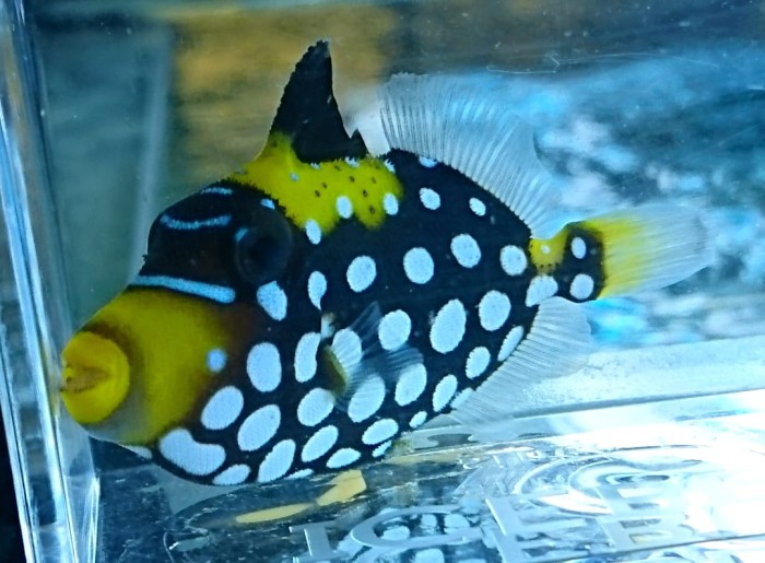 DSC_2420.JPG