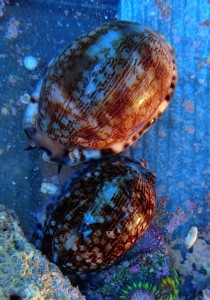 DSC_2405.JPG