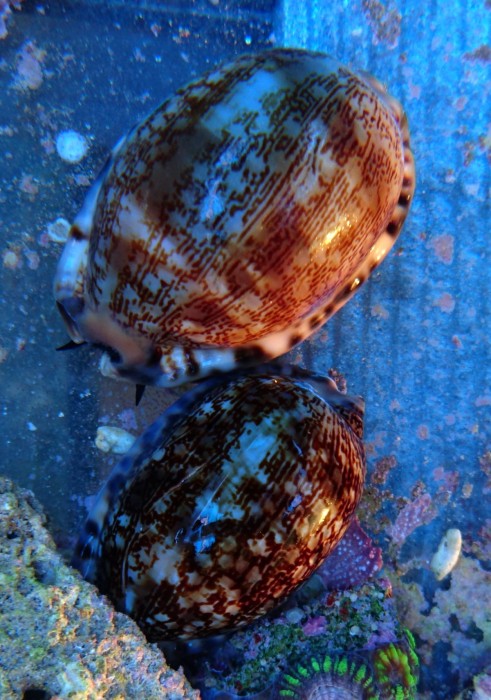 DSC_2405.JPG