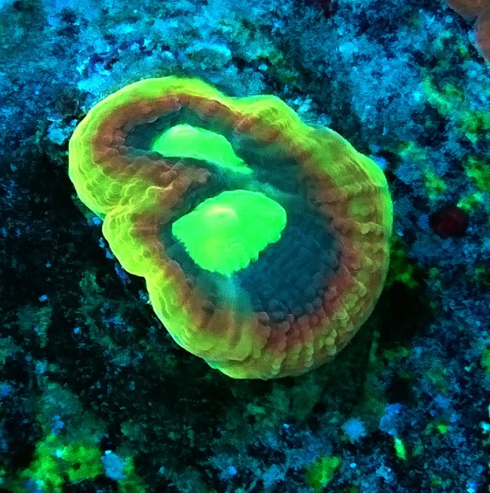 DSC_2283.JPG