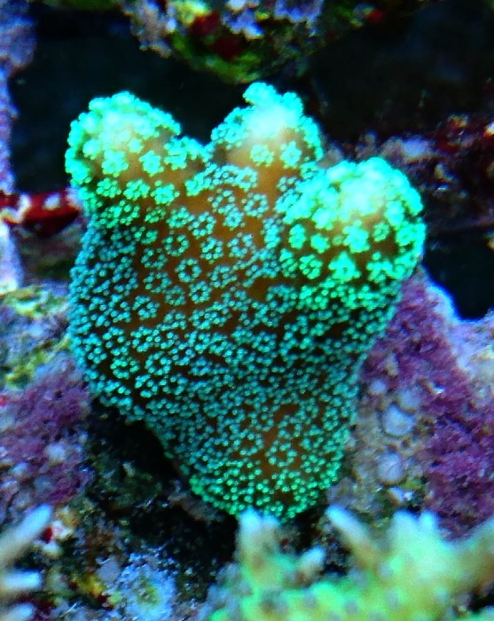 DSC_2373.JPG