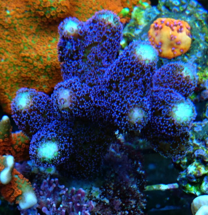DSC_2374.JPG