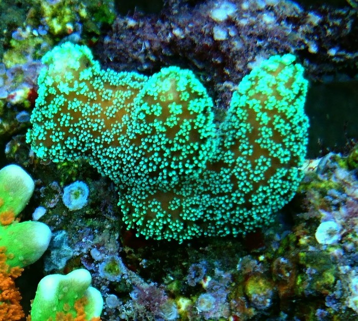 DSC_2333.JPG