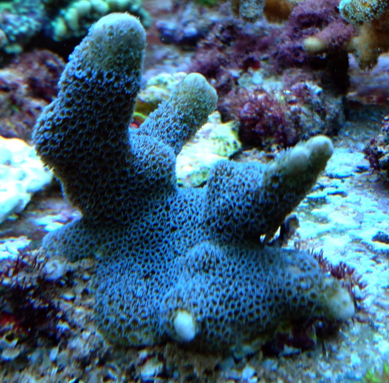 DSC_2484.JPG