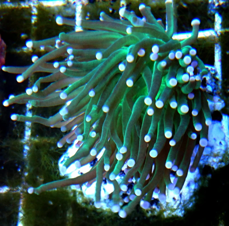 DSC_2494.JPG