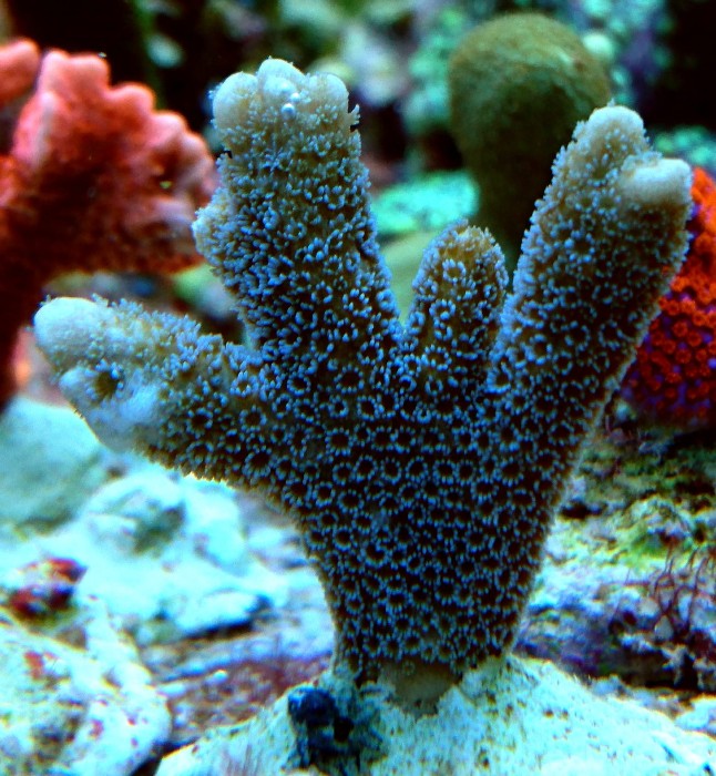 DSC_2660.JPG
