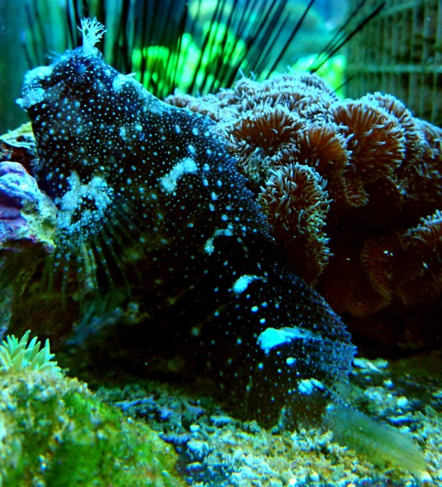 DSC_2840.JPG