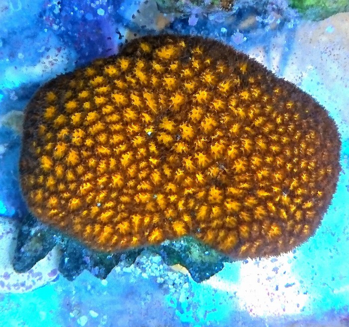 DSC_2863.JPG