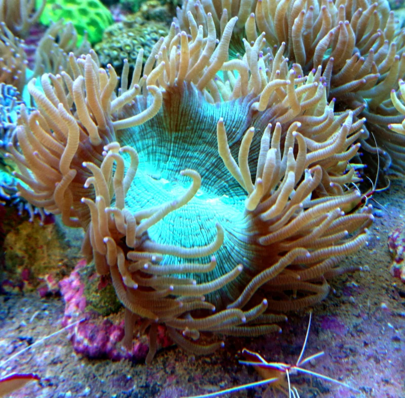 DSC_2964.JPG