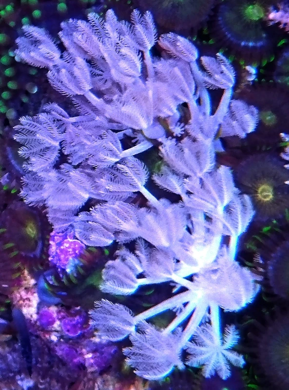 DSC_3060.JPG