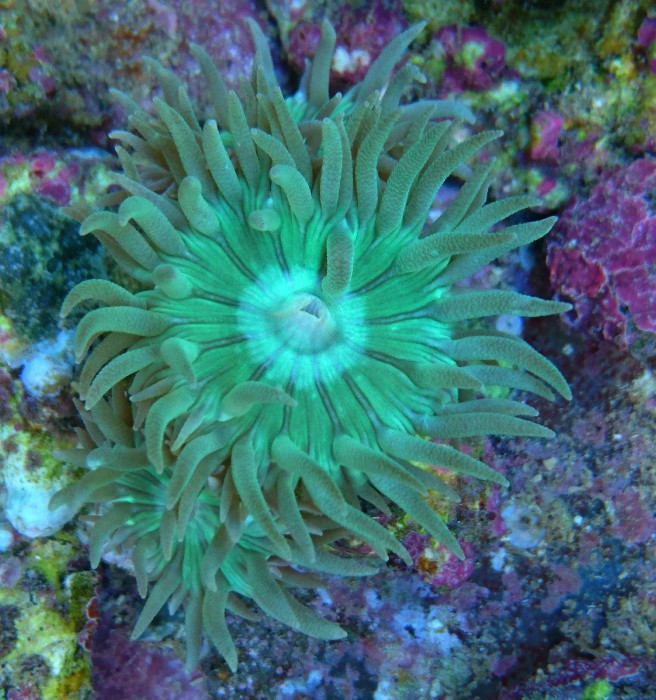 DSC_3077.JPG