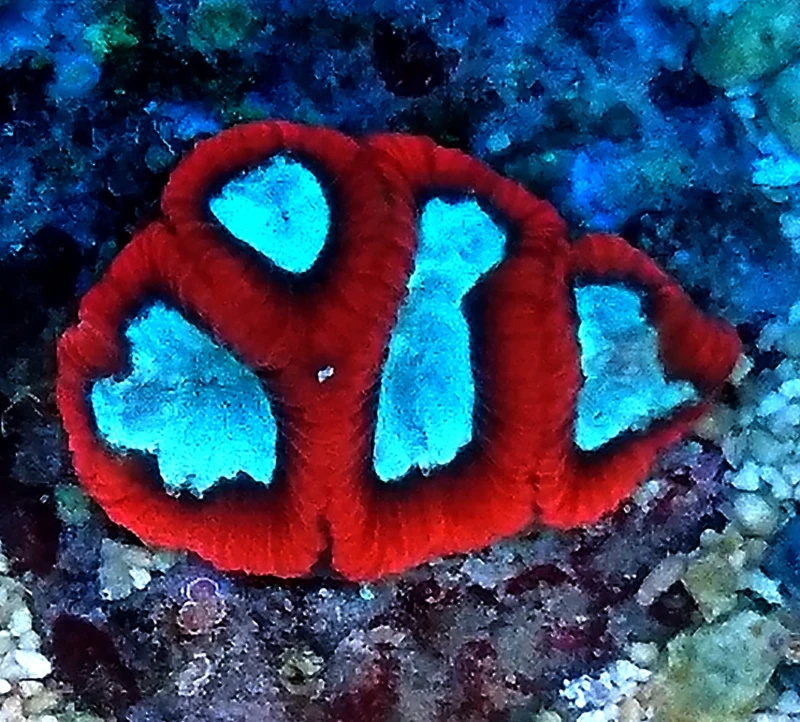 DSC_3099.JPG