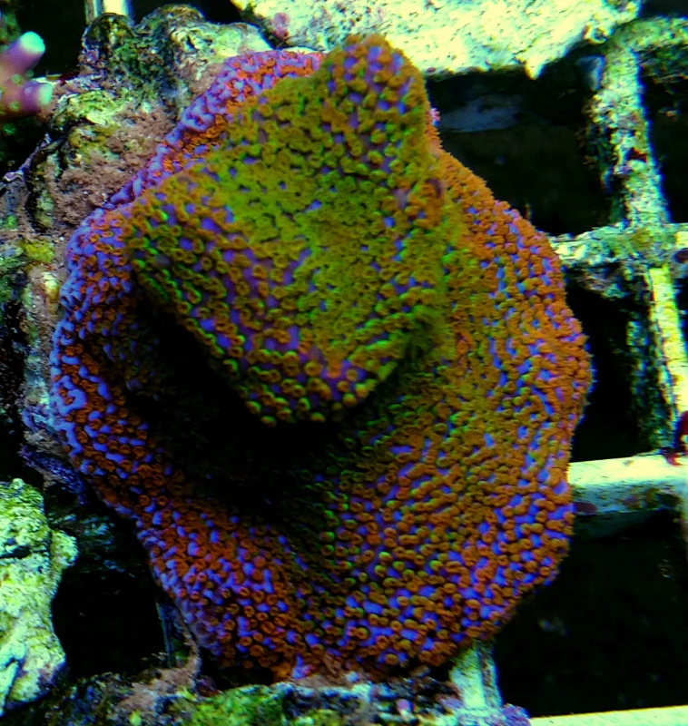 DSC_0148.JPG