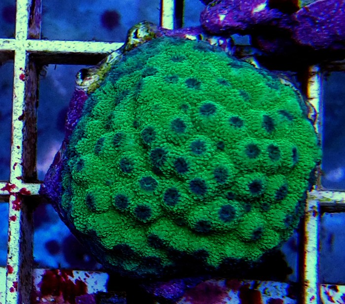 DSC_0192.JPG