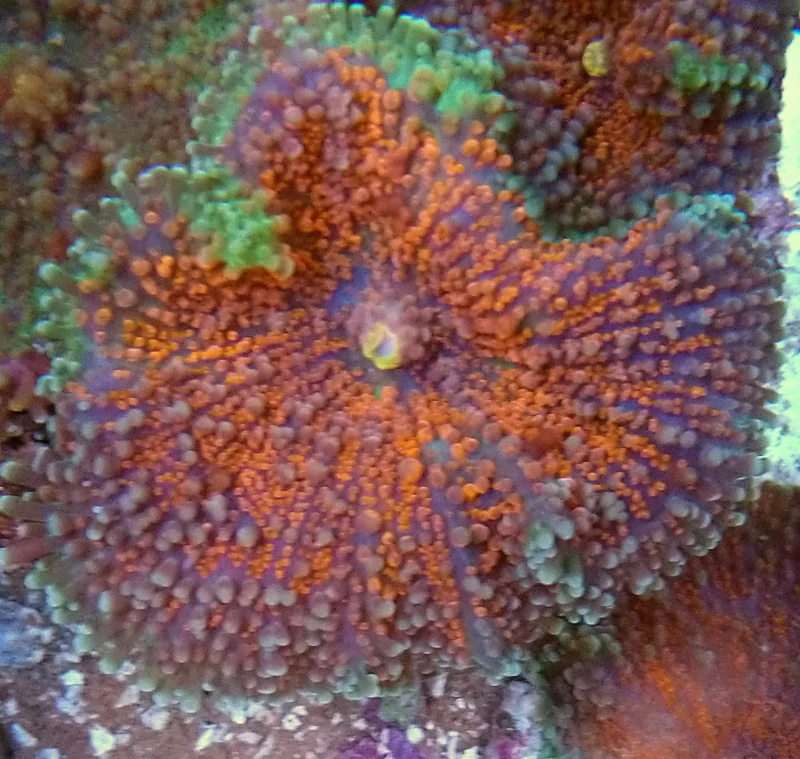 DSC_04851.JPG