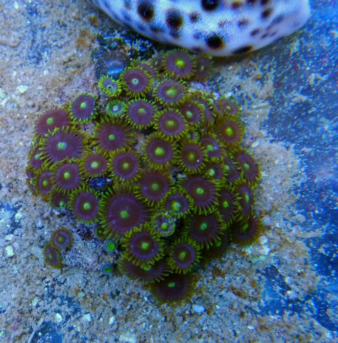 DSC_0502.JPG
