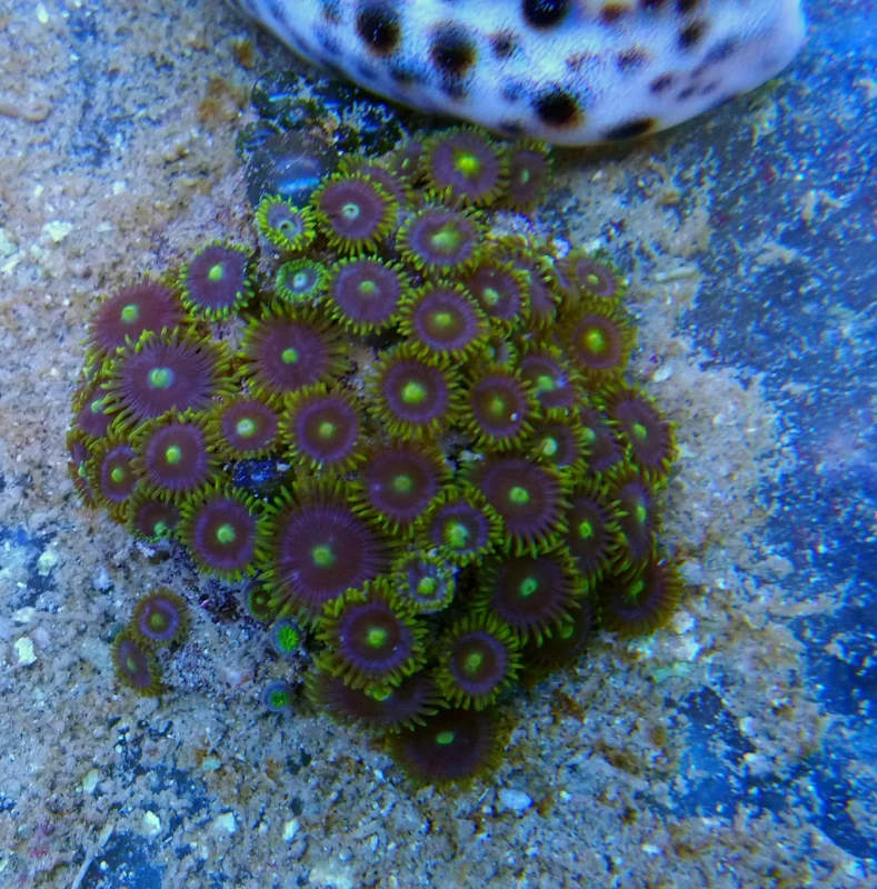 DSC_0502.JPG