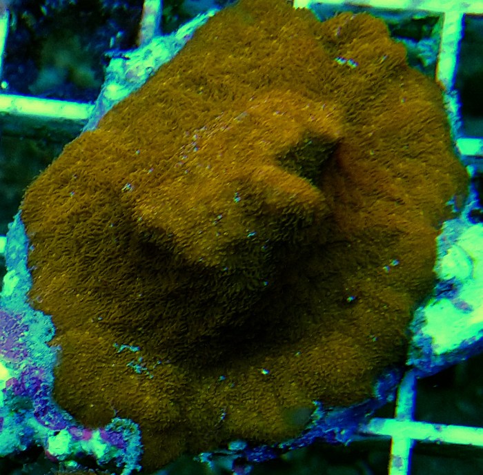 DSC_0396.JPG