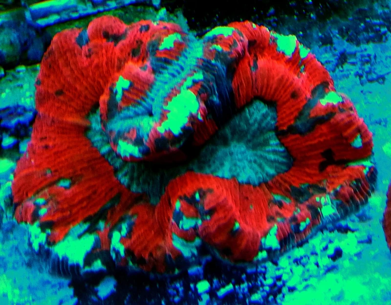 DSC_0663.JPG
