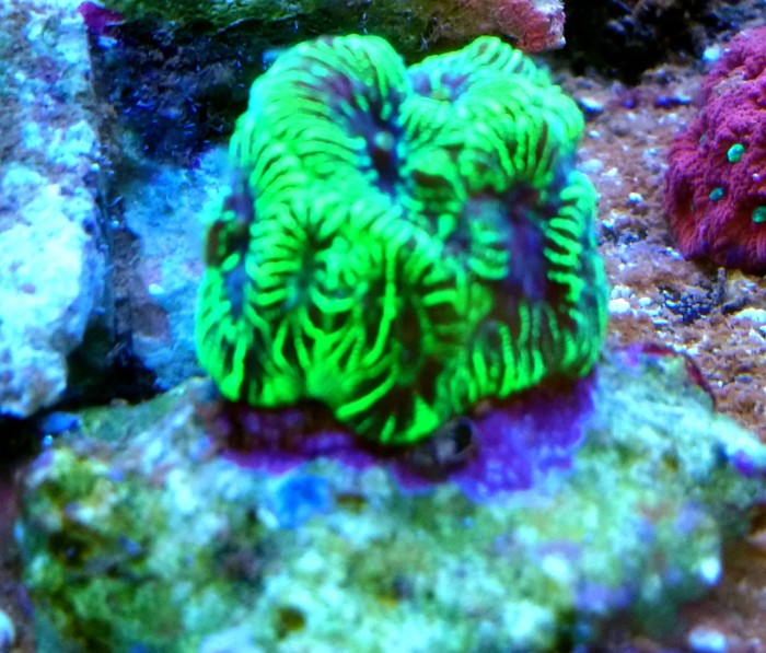 DSC_0676.JPG