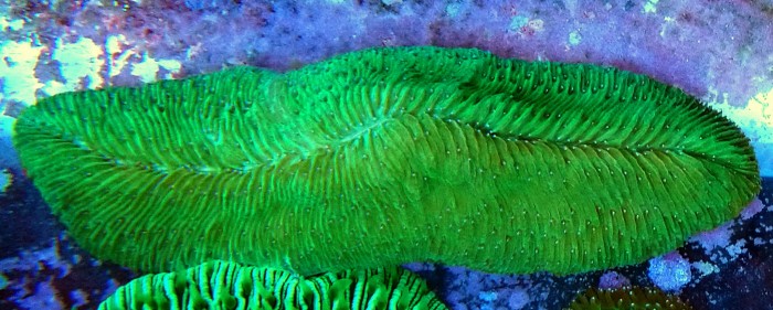 DSC_0679.JPG