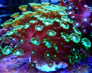 DSC_1122.JPG