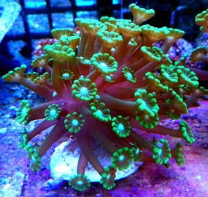 DSC_1121.JPG