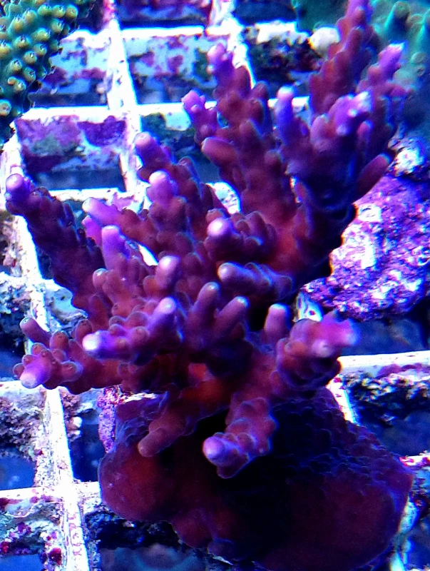 DSC_1101.JPG