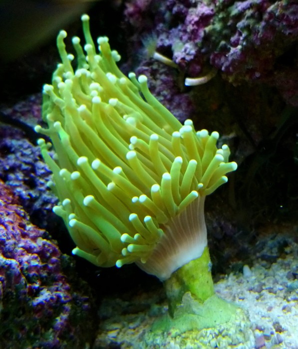 DSC_0360.JPG