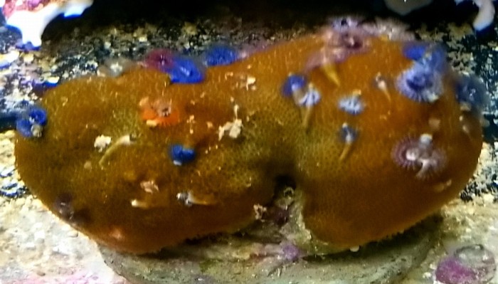 DSC_0380.JPG