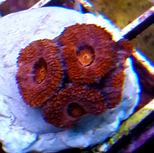 DSC_0043.JPG