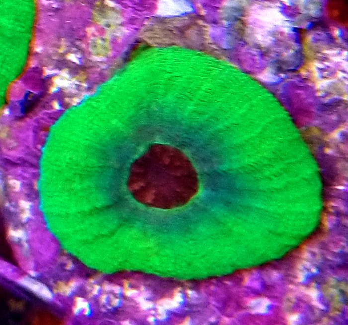 DSC_0037.JPG