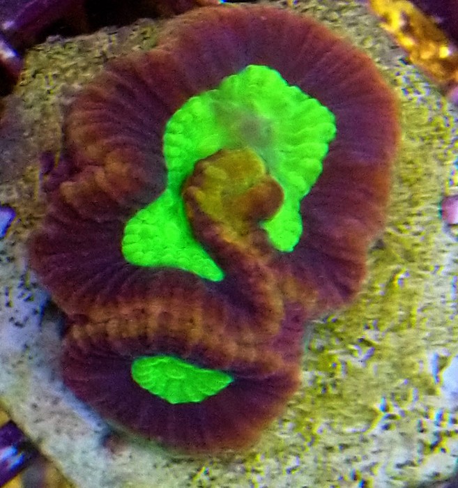 DSC_0052.JPG