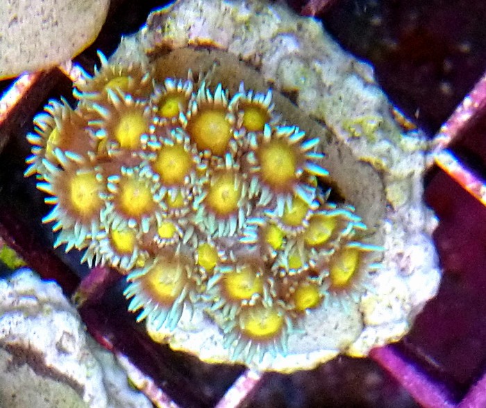 DSC_0154.JPG