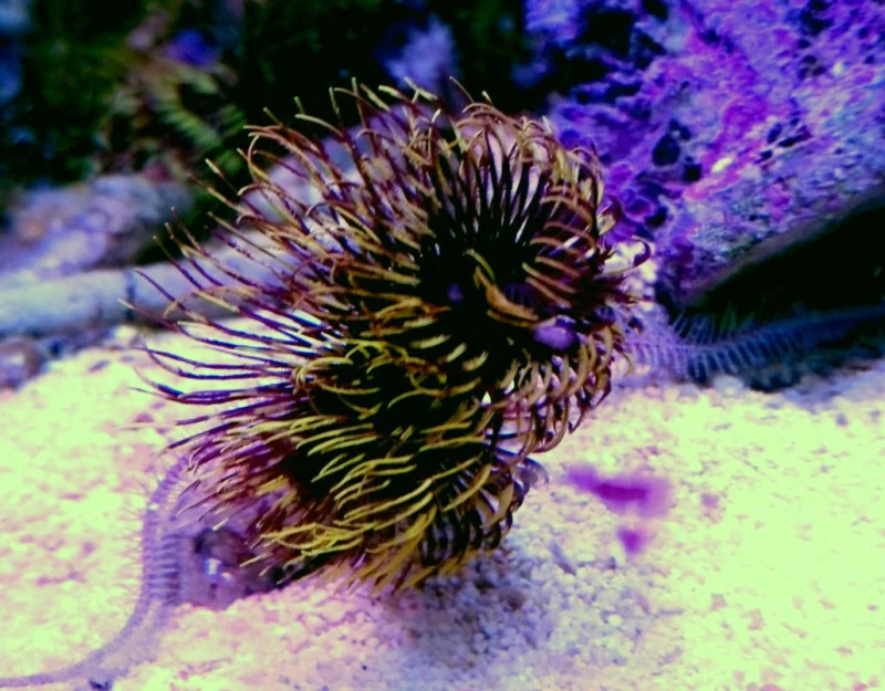 DSC_15041.jpg