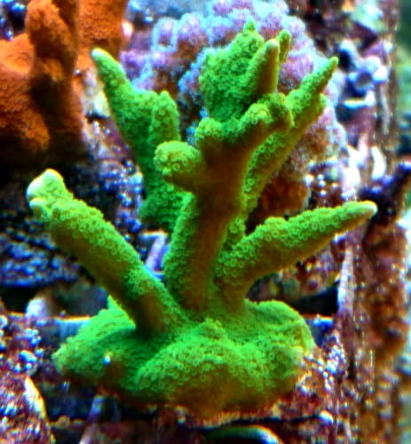 DSC_0060.jpg